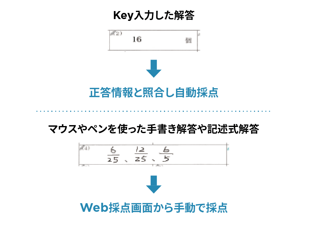 先生はデジタル回答を自動採点&Web採点|デジタルペーパー|Smarky|学習塾や学校向けの教材出版会社「育伸社」